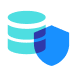 Data Privacy.Icon